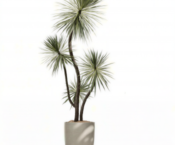 Modern Ground Green Plant Potted Plants-ID:700365073