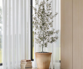 Modern Ground Green Plant Potted Plants-ID:179722075