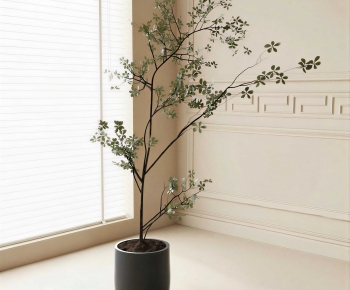 Modern Ground Green Plant Potted Plants-ID:666001088