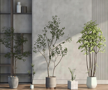 Modern Ground Green Plant Potted Plants-ID:815011988