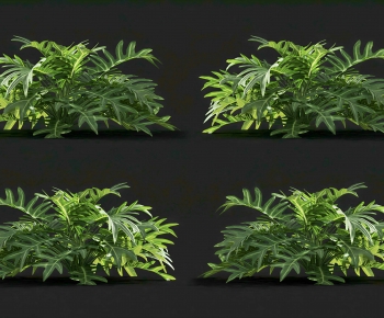 Modern The Grass-ID:954061038