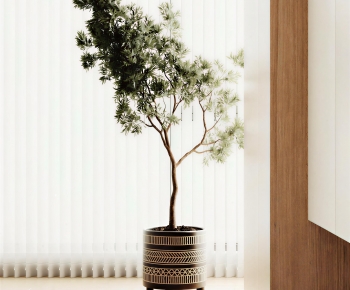 Wabi-sabi Style Ground Green Plant Potted Plants-ID:655575046