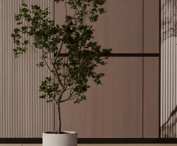 Modern Ground Green Plant Potted Plants-ID:550621039