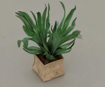 Modern Potted Green Plant-ID:407239919
