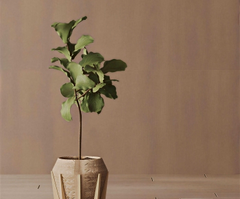Modern Ground Green Plant Potted Plants-ID:102552893