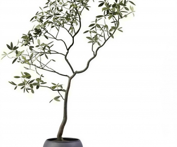 Modern Ground Green Plant Potted Plants-ID:616523986
