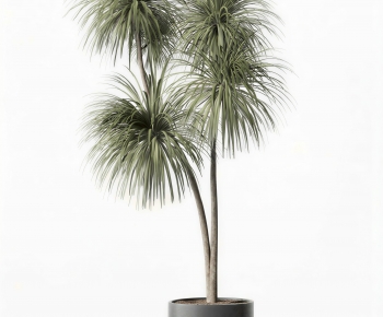 Modern Ground Green Plant Potted Plants-ID:537712104