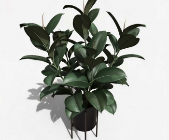 Modern Potted Green Plant-ID:688770066
