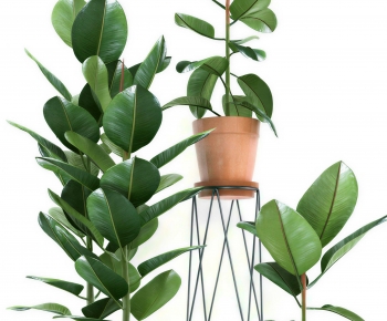 Modern Ground Green Plant Potted Plants-ID:421576985