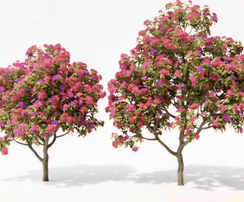 Modern Tree-ID:842278965