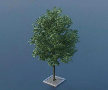 Modern Tree-ID:238787897
