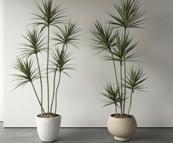 Modern Ground Green Plant Potted Plants-ID:909425021