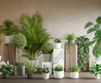 Modern Ground Green Plant Potted Plants-ID:455122957