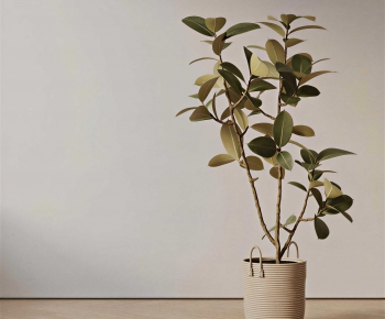 Modern Ground Green Plant Potted Plants-ID:260103943