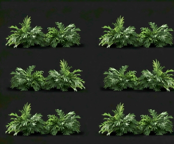 Modern Flowers And Grass-ID:158545023