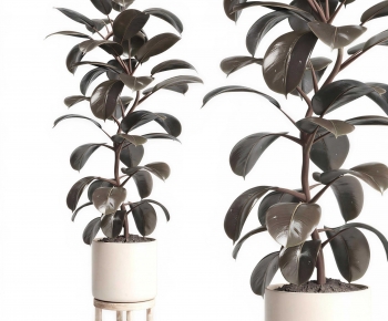 Modern Ground Green Plant Potted Plants-ID:460639959