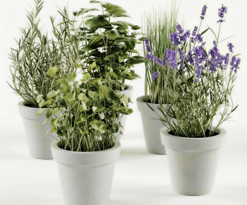 Modern Potted Green Plant-ID:949387072