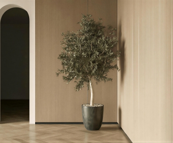 Modern Ground Green Plant Potted Plants-ID:402318953