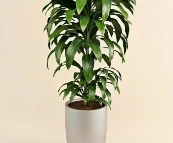 Modern Ground Green Plant Potted Plants-ID:803097963