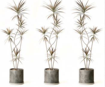 Modern Ground Green Plant Potted Plants-ID:999129062