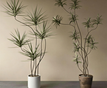 Modern Ground Green Plant Potted Plants-ID:575185063