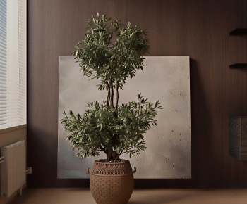 Modern Ground Green Plant Potted Plants-ID:339495903