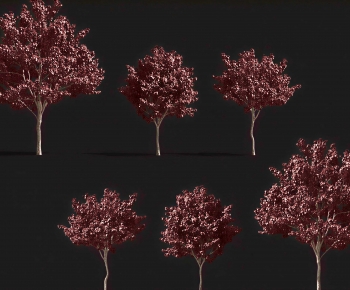 Modern Tree-ID:509133109