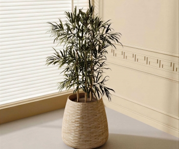 Modern Ground Green Plant Potted Plants-ID:471076972