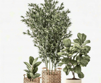 Modern Ground Green Plant Potted Plants-ID:372227914