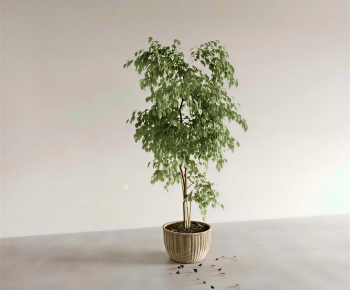 Modern Ground Green Plant Potted Plants-ID:360560464
