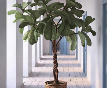 Modern Ground Green Plant Potted Plants-ID:751513002