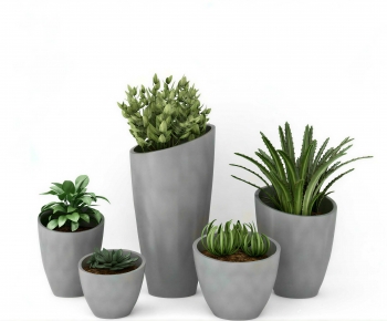 Modern Potted Green Plant-ID:582640256