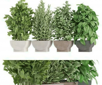 Modern Potted Green Plant-ID:499027975