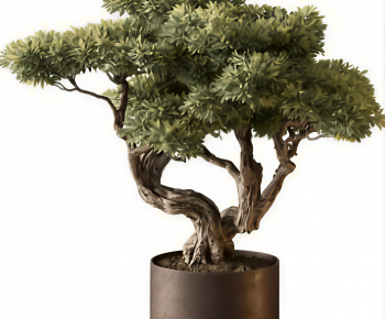 Modern Ground Green Plant Potted Plants-ID:522027975