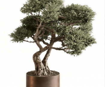 Modern Ground Green Plant Potted Plants-ID:407505994