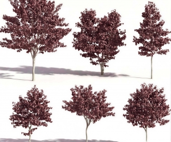 Modern Tree-ID:541387086
