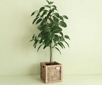 Modern Ground Green Plant Potted Plants-ID:218811081