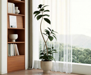 Modern Ground Green Plant Potted Plants-ID:800916911