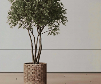 Modern Ground Green Plant Potted Plants-ID:198031908