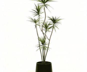 Modern Ground Green Plant Potted Plants-ID:109577899