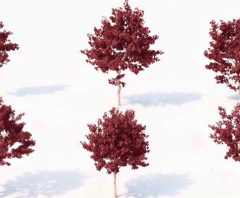 Modern Tree-ID:464951991