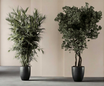 Modern Ground Green Plant Potted Plants-ID:425009019