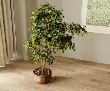 Modern Ground Green Plant Potted Plants-ID:125195982
