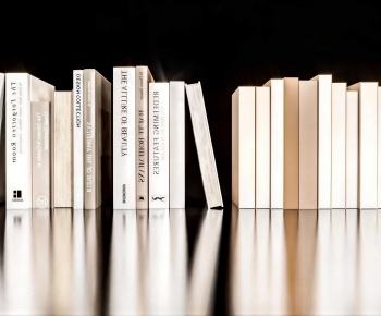 Modern Book-ID:921520951