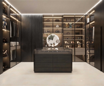 Modern Clothes Storage Area-ID:227821115