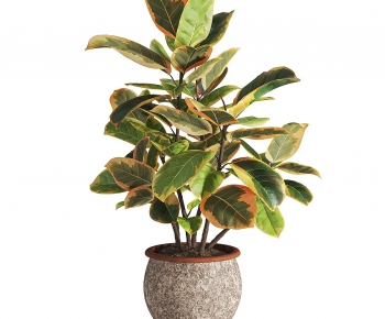 Modern Potted Green Plant-ID:720058927