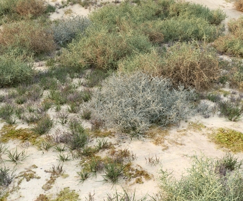 Modern The Grass-ID:618947032