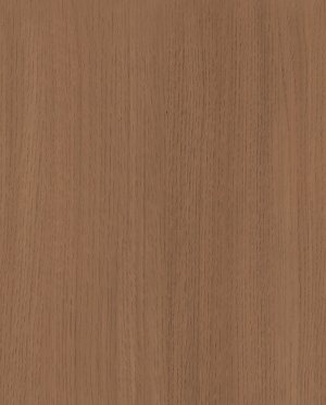 ModernWood Texture