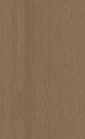 ModernWood Texture