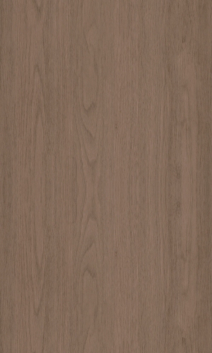 ModernWood Texture